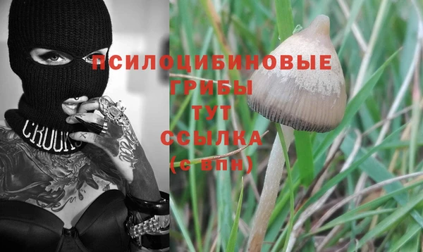 каннабис Медногорск