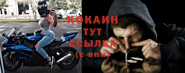 твердый Михайловск