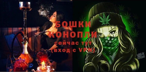 прущие грибы Новоуральск